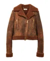 Alexander Mcqueen Leather Shearling Aviator Jacket In Brown
