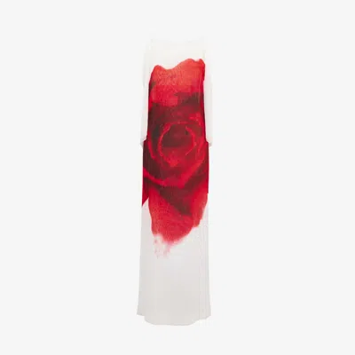 Alexander Mcqueen Bleeding Rose Chiffon Slip Dress In Multi