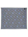 Alexander Mcqueen Women Classic Skull Scarf In Gray