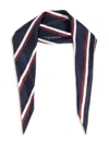 Alexander Mcqueen College Stripe Scarf In Blue