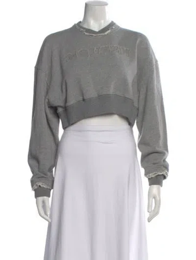 Pre-owned Alexander Mcqueen Crew Neck Long Sleeve Crop Top In Gray