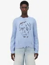 Alexander Mcqueen Mcqueen Skull Sweater In Shirting Blue