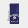 Alexander Mcqueen Varsity Skull Logo Scarf -  - Wool - Blue In Blue