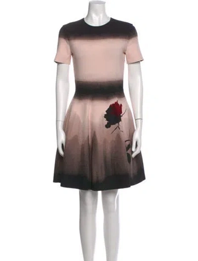 Pre-owned Alexander Mcqueen Floral Print Mini Dress In Pink