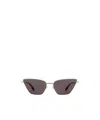 Alexander Mcqueen Frame Sunglasses In Black