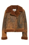 Alexander Mcqueen Leather Shearling Aviator Jacket In Ginger/dark Brown
