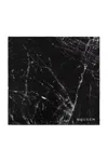 Alexander Mcqueen Graphic Printed Scarf In Black