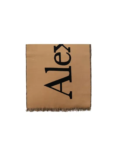 Alexander Mcqueen Intarsia-knit Logo Scarf In Brown