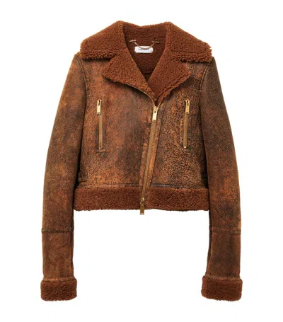 Alexander Mcqueen Leather Shearling Aviator Jacket In Brown