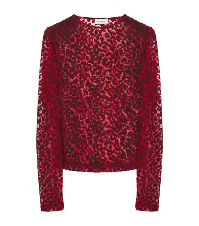 Alexander Mcqueen Leopard Devoré Top In Red/black