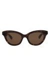Alexander Mcqueen Mcqueen 51mm Cat Eye Sunglasses In Brown