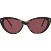 Alexander Mcqueen Mcqueen 55mm Cat Eye Sunglasses In Burgundy