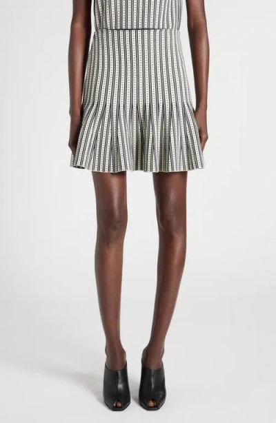 Alexander Mcqueen Mcqueen Jacquard Stripe Knit Miniskirt In Multi