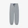 Alexander Mcqueen Mcqueen Logo Tracksuit Joggers In Grey Melange