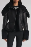 Alexander Mcqueen Mcqueen Oversize Collar Genuine Shearling Moto Jacket In Black