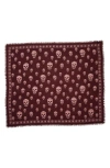Alexander Mcqueen Mcqueen Skull Print Wool Fringe Scarf