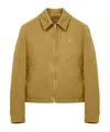 Alexander Mcqueen Mcqueen Embroidered Skull Cotton Twill Jacket In Brown