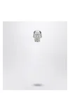 Alexander Mcqueen Alexander Mc Queen Skull Earring In Palladium In Metal