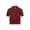 Alexander Mcqueen Microcheck Polo Shirt Lurex Collar Detail In Multi
