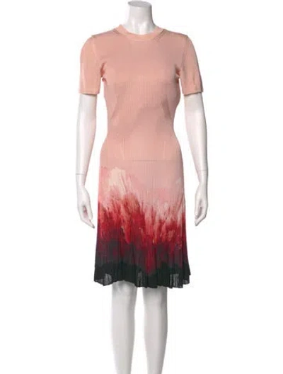 Pre-owned Alexander Mcqueen Printed Knee-length Dress In Pink
