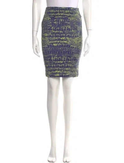 Pre-owned Alexander Mcqueen Printed Knee-length Skirt In Blue