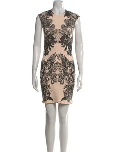 Pre-owned Alexander Mcqueen Printed Mini Dress In Neutral