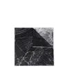 Alexander Mcqueen Printed Silk Scarf In Black