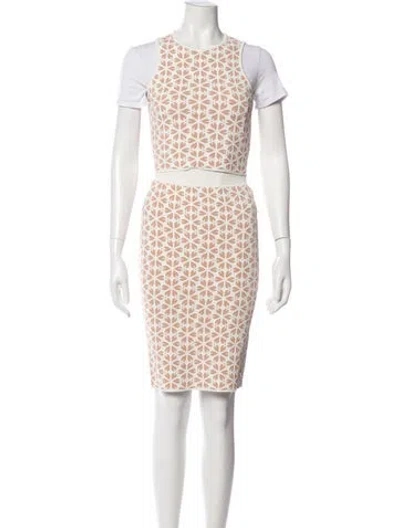 Pre-owned Alexander Mcqueen Printed Skirt Set In Gray