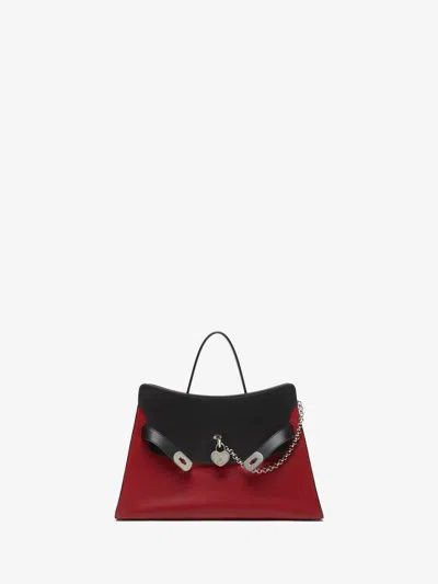 Alexander Mcqueen Red In Red/black