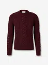 Alexander Mcqueen Alexander Mc Queen Wool Sweater In Burgundy