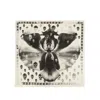 Alexander Mcqueen Skull Orchid Scarf In Neutrals
