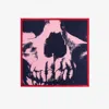 Alexander Mcqueen Skull Shawl In Navy/pink
