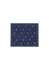 Alexander Mcqueen Skull-print Frayed Scarf In Blue
