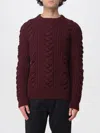 Alexander Mcqueen Alexander Mc Queen Wool Sweater In Burgundy