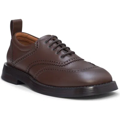 Alexander Mcqueen The Brogue Oxford In Brown