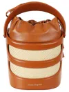 Alexander Mcqueen The Rise Mini Bucket Bag In Tannatural