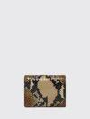 Alexander Mcqueen Wallet Mcqueen Woman Color Brown In Multi