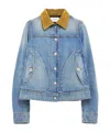 Alexander Mcqueen Fitted Blue Jacket With Peplum Hem And Contrasting Collar In Blue