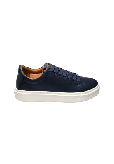 Alexander Smith Albcldm-9012-ble  Man Blue Leather