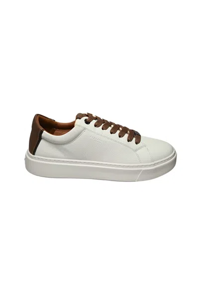 Alexander Smith Albcldm-9067-wlo  Men's White Leather