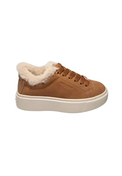 Alexander Smith Albclhw-8242-snd  Women's Leather Brown