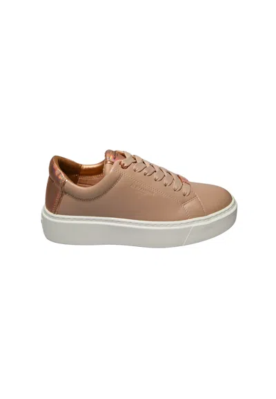 Alexander Smith Albclhw-8272-uip  Woman Leather Beige In Brown