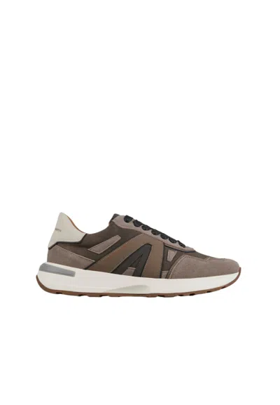 Alexander Smith Asbclpm-3253-diy  Man Brown Leather