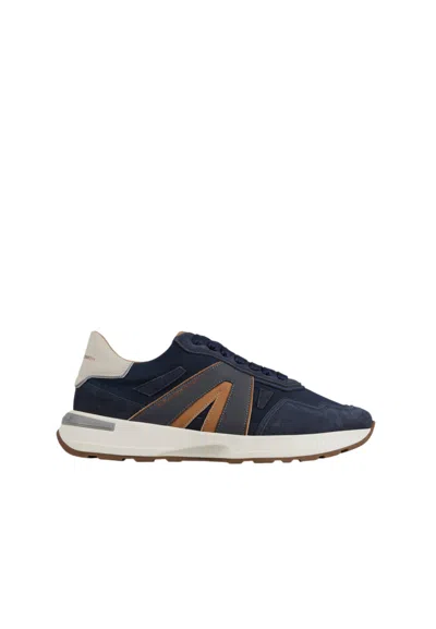 Alexander Smith Asbclpm-3253-ldm  Man Blue Leather