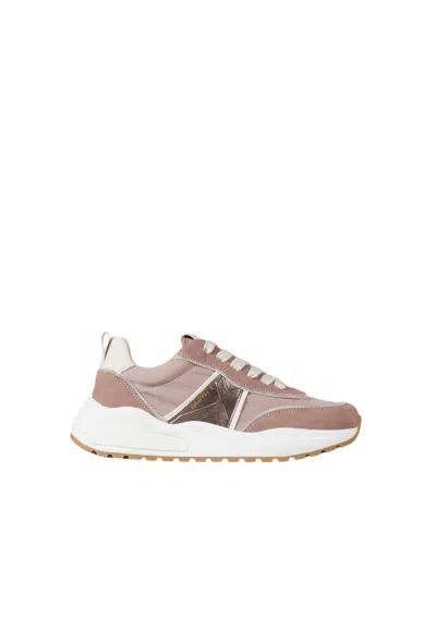 Alexander Smith Sxbcbzw-8041-hbz  Woman Pink In Purple