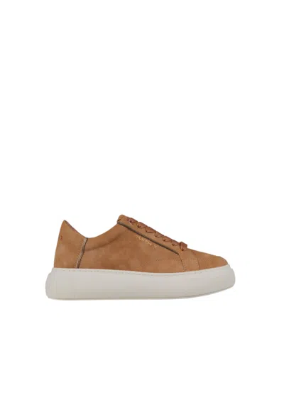 Alexander Smith Sxbcprw-7305-nbz  Women's Leather Brown