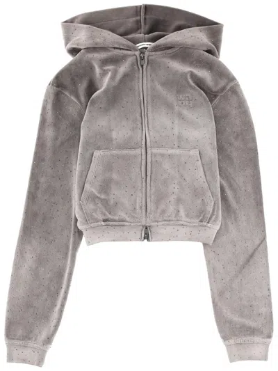 Alexander Wang Alexanderwang. T Shrunken Hoodie In Crystal Hotfix Velour In Brown