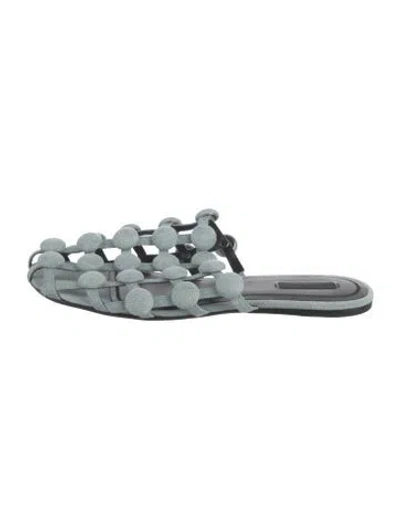 Pre-owned Alexander Wang Canvas Mules In Blue