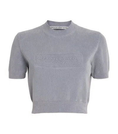 Alexander Wang Cotton-blend Chenille Logo T-shirt In Gray