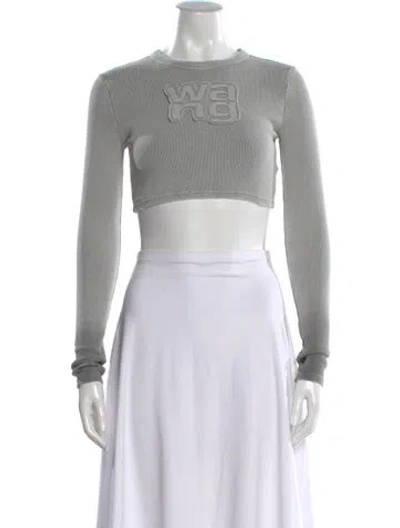 Pre-owned Alexander Wang Crew Neck Long Sleeve Crop Top In Gray